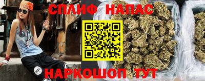 сатива Нальчик
