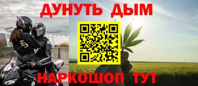 сатива Нальчик