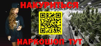 сатива Новодвинск