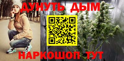 сатива Нальчик